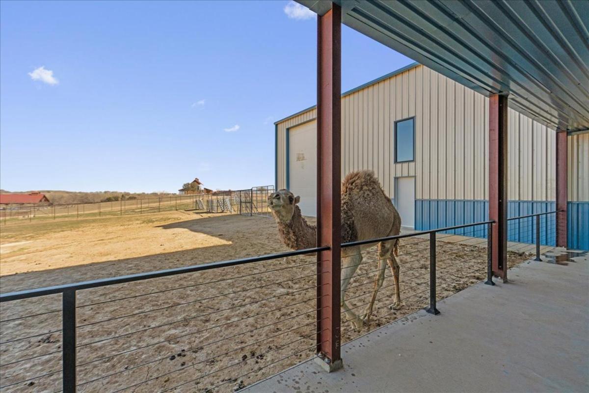 Hotel Blue Hills Ranch McGregor Exterior foto