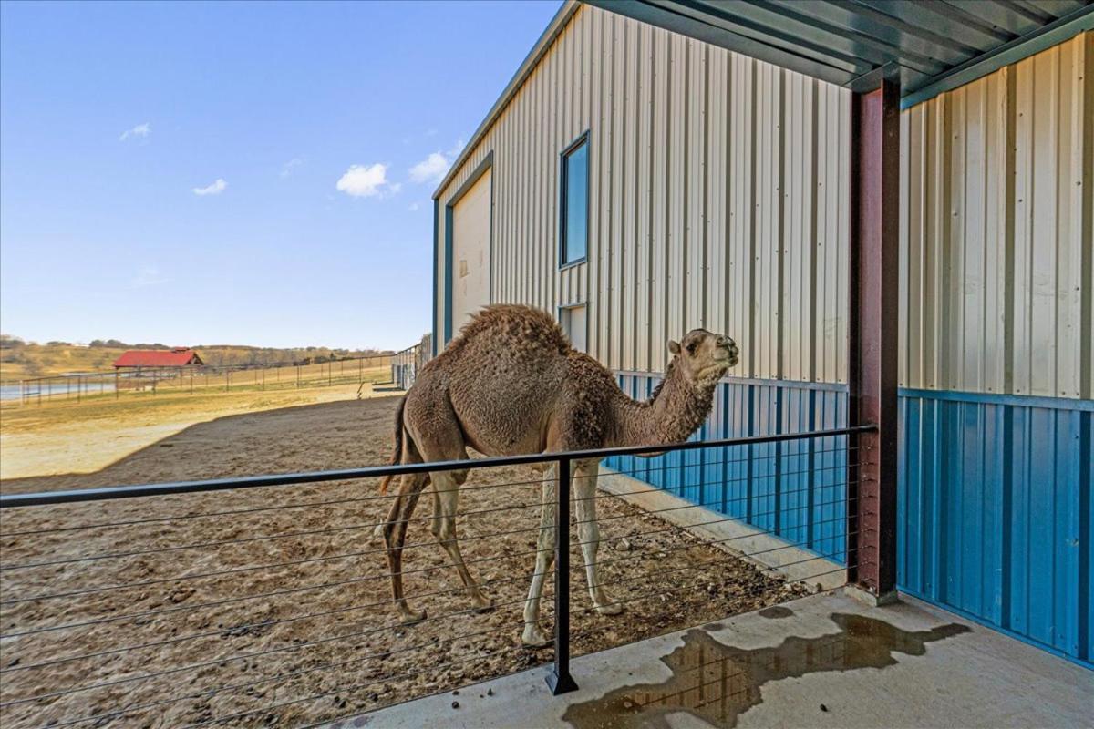 Hotel Blue Hills Ranch McGregor Exterior foto